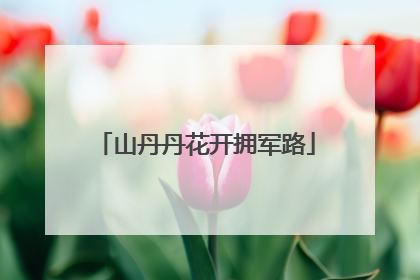 山丹丹花开拥军路
