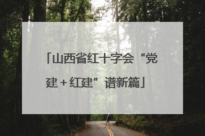 山西省红十字会“党建＋红建”谱新篇