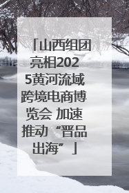 山西组团亮相2025黄河流域跨境电商博览会 加速推动“晋品出海”