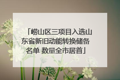 崂山区三项目入选山东省新旧动能转换储备名单 数量全市居首