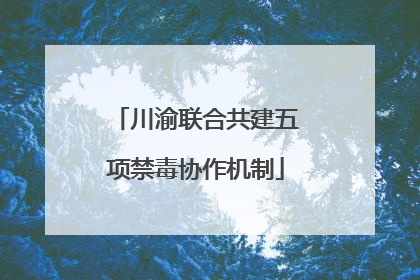 川渝联合共建五项禁毒协作机制