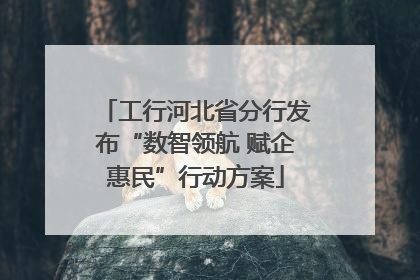 工行河北省分行发布“数智领航 赋企惠民”行动方案
