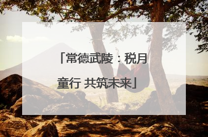 常德武陵：税月童行 共筑未来