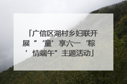 广信区湖村乡妇联开展“‘童’享六一‘粽’情端午”主题活动