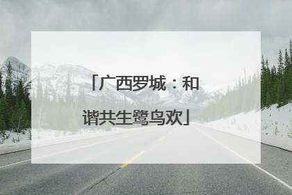 广西罗城：和谐共生鹭鸟欢