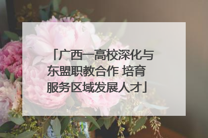 广西一高校深化与东盟职教合作 培育服务区域发展人才