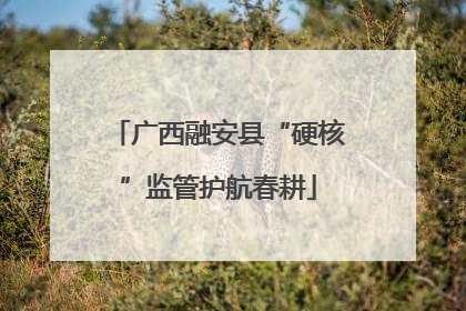 广西融安县“硬核”监管护航春耕