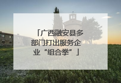 广西融安县多部门打出服务企业“组合拳”