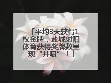 平均3天获得1枚金牌，盐城射阳体育获得奖牌数呈现“井喷”！