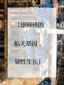 康师傅的航天基因，韧性生长
