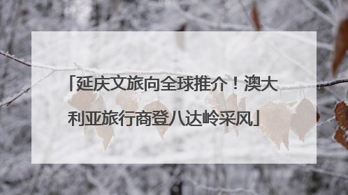 延庆文旅向全球推介！澳大利亚旅行商登八达岭采风