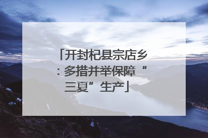 开封杞县宗店乡：多措并举保障“三夏”生产