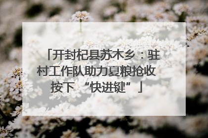 开封杞县苏木乡：驻村工作队助力夏粮抢收按下 “快进键”