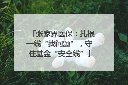 张家界医保：扎根一线“找问题”，守住基金“安全线”