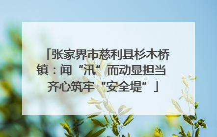 张家界市慈利县杉木桥镇：闻“汛”而动显担当 齐心筑牢“安全堤”