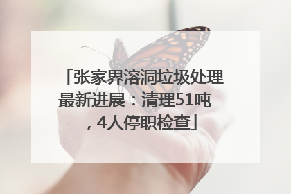 张家界溶洞垃圾处理最新进展：清理51吨，4人停职检查