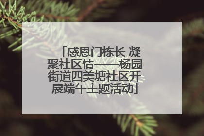 感恩门栋长 凝聚社区情——杨园街道四美塘社区开展端午主题活动