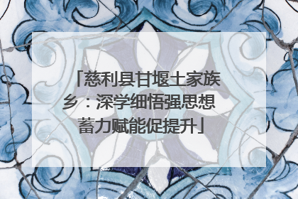 慈利县甘堰土家族乡：深学细悟强思想 蓄力赋能促提升