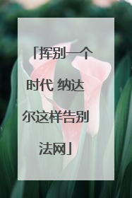 挥别一个时代 纳达尔这样告别法网