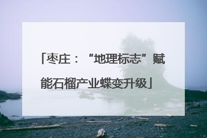 枣庄：“地理标志”赋能石榴产业蝶变升级
