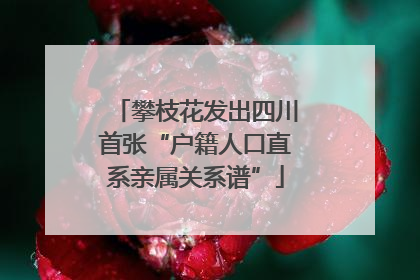 攀枝花发出四川首张“户籍人口直系亲属关系谱”