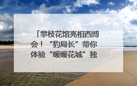 攀枝花馆亮相西博会！“豹局长”带你体验“暖暖花城”独特魅力｜西博视界