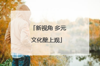 新视角 多元文化壁上观