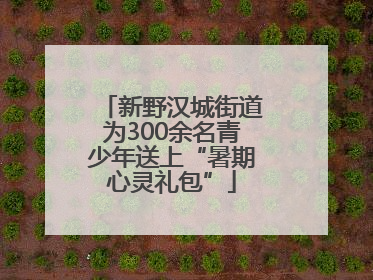 新野汉城街道为300余名青少年送上“暑期心灵礼包”