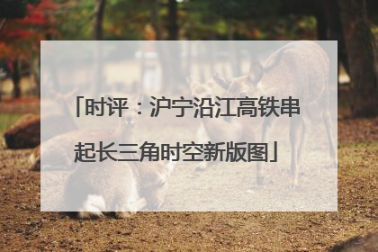 时评：沪宁沿江高铁串起长三角时空新版图