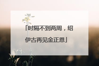 时隔不到两周，绍伊古再见金正恩