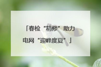 春检“精修”助力电网“迎峰度夏”