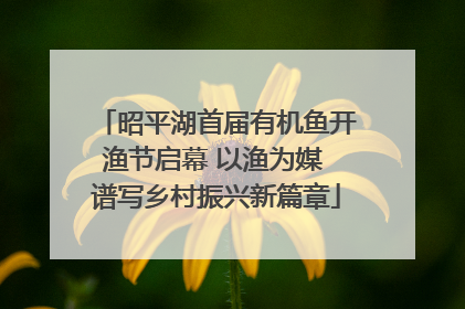 昭平湖首届有机鱼开渔节启幕 以渔为媒 谱写乡村振兴新篇章