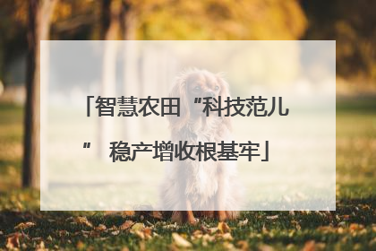 智慧农田“科技范儿” 稳产增收根基牢