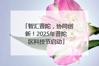 智汇普陀，协同创新！2025年普陀区科技节启动