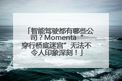 智能驾驶都有哪些公司？Momenta“穿行桥底迷宫”无法不令人印象深刻！