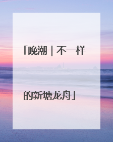 晚潮｜不一样的新塘龙舟