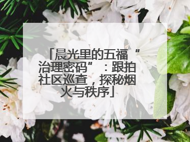 晨光里的五福“治理密码”：跟拍社区巡查，探秘烟火与秩序