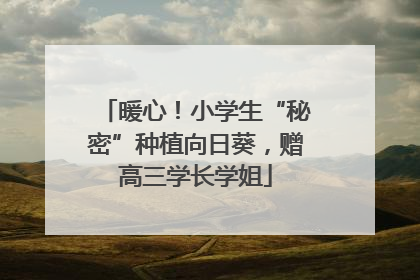暖心！小学生“秘密”种植向日葵，赠高三学长学姐