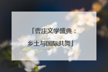 曹庄文学盛典：乡土与国际共舞