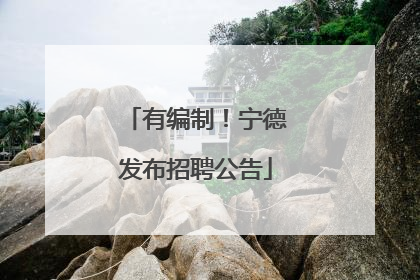 有编制！宁德发布招聘公告
