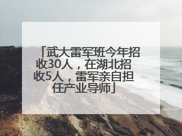 武大雷军班今年招收30人，在湖北招收5人，雷军亲自担任产业导师