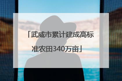 武威市累计建成高标准农田340万亩