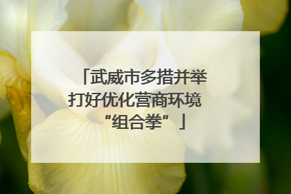 武威市多措并举打好优化营商环境“组合拳”