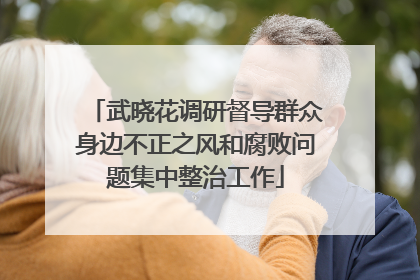 武晓花调研督导群众身边不正之风和腐败问题集中整治工作