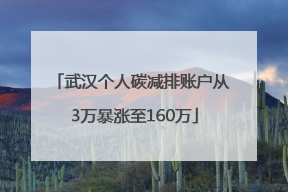 武汉个人碳减排账户从3万暴涨至160万