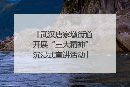 武汉唐家墩街道开展“三大精神”沉浸式宣讲活动