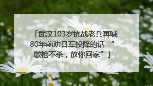 武汉103岁抗战老兵再喊80年前劝日军投降的话 “缴枪不杀，放你回家”