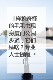 样貌奇怪的毛毛虫现身厦门公园步道，它们是啥？专业人士提醒→