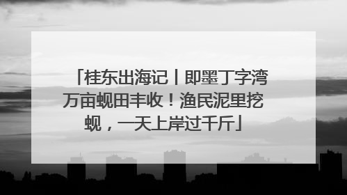 桂东出海记丨即墨丁字湾万亩蚬田丰收！渔民泥里挖蚬，一天上岸过千斤