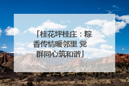 桂花坪桂庄：粽香传情暖邻里 党群同心筑和谐